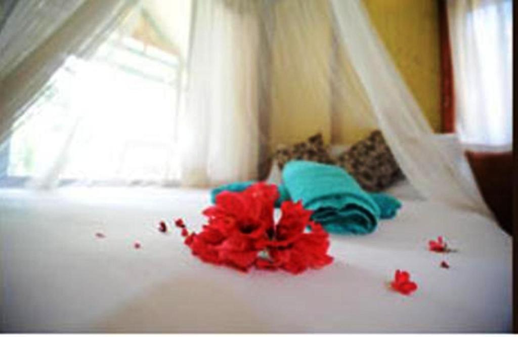 Smile Bungalow Bottle Beach Habitación foto